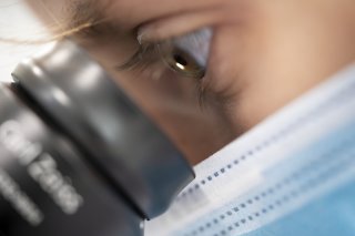 Résidente du Biopôle d'Epalinges, Limula a récolté 6,2 millions de francs avec sa ronde inaugurale de financement (photo d'illustration). KEYSTONE/GAETAN BALLY